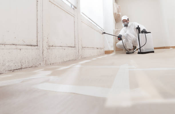 24/7 Emergency Black Mold Remediation experts in Chincoteague Island, VA